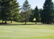 Hunters-Creek-tee-hole-